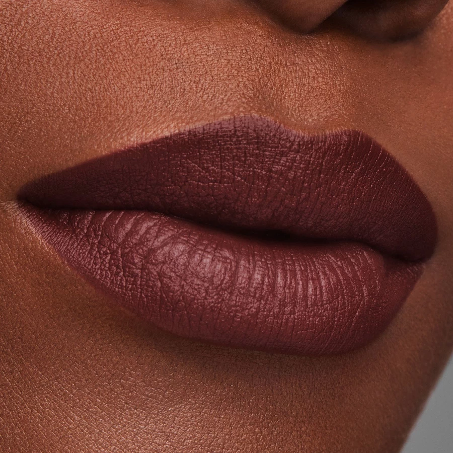 ESTÉE LAUDER Pure Color Matte Lipstick in Brown - 812 Change The World