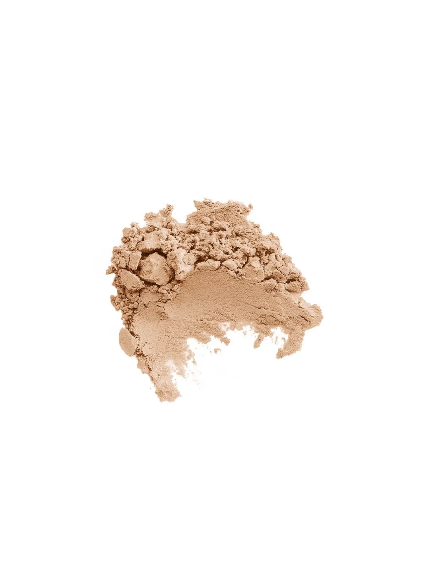 DIEGO DALLA PALMA Transparent Loose Powder - 01